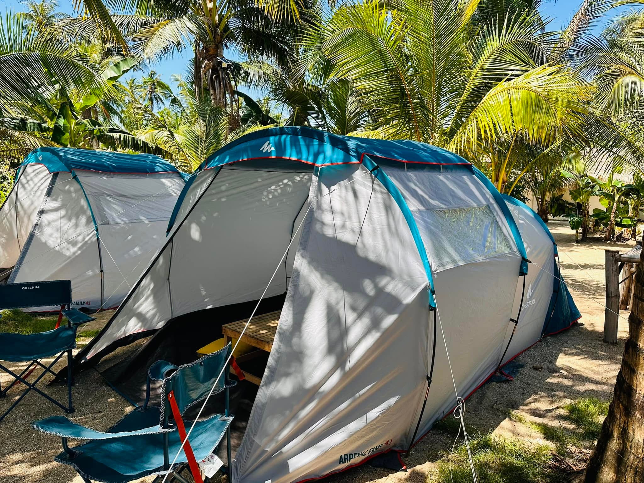 Glamping tent pitched under the trees at dusk
