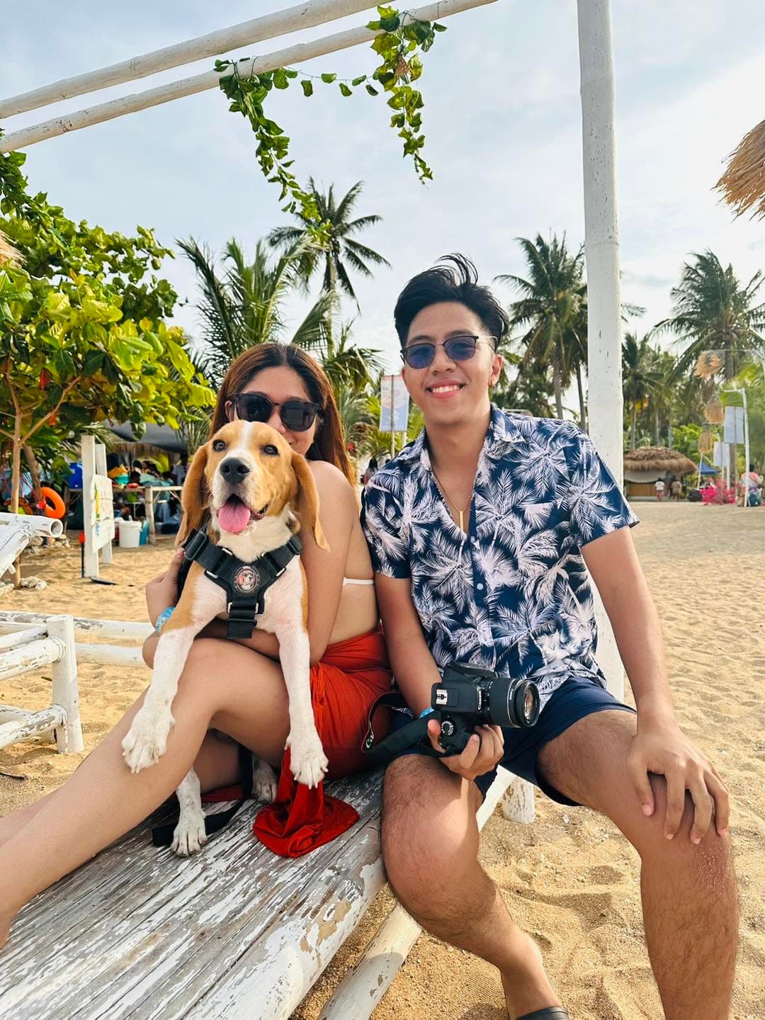 A dog on the sand — pets are welcome at Paraiso