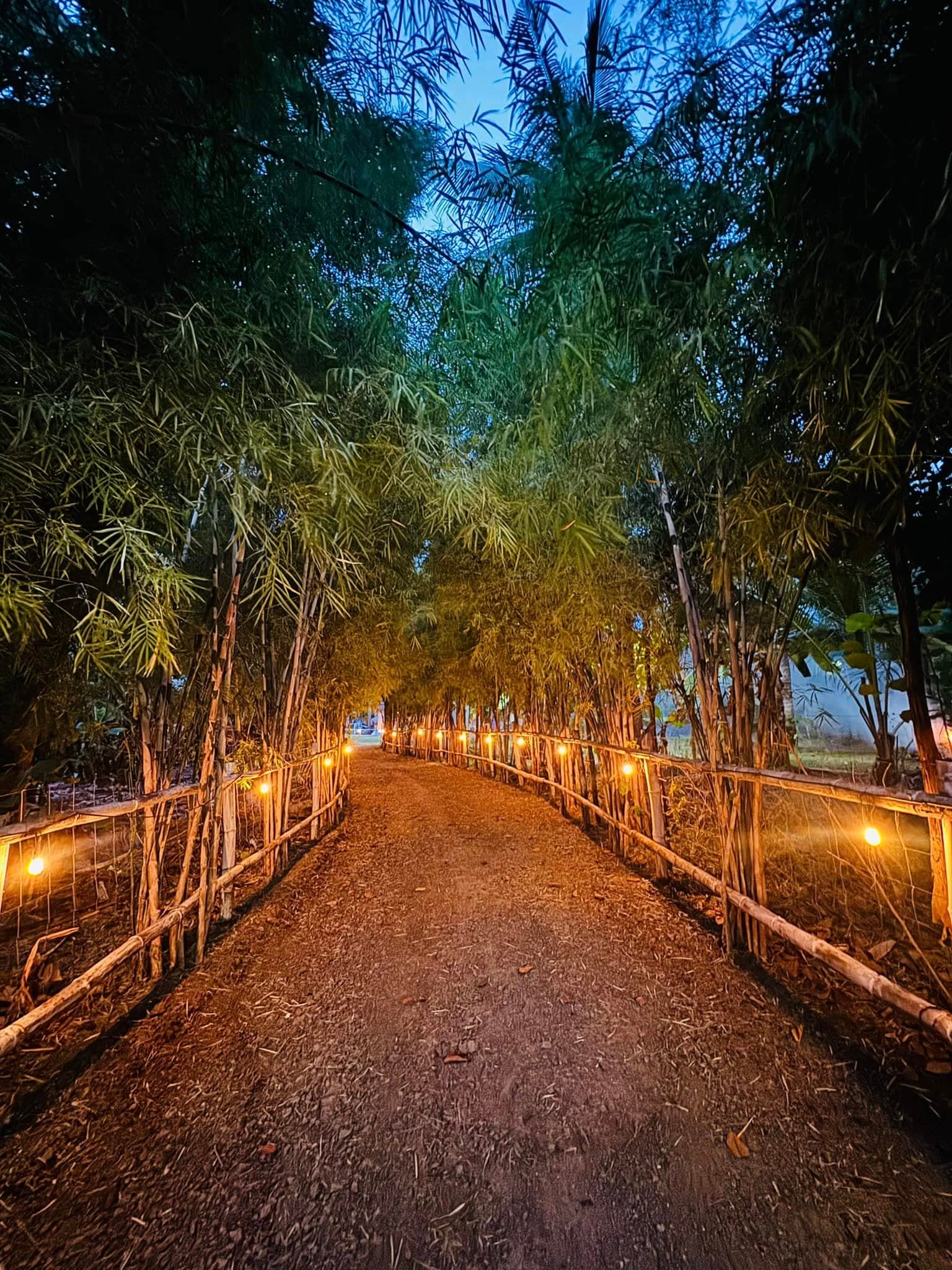Pathway through the campsite