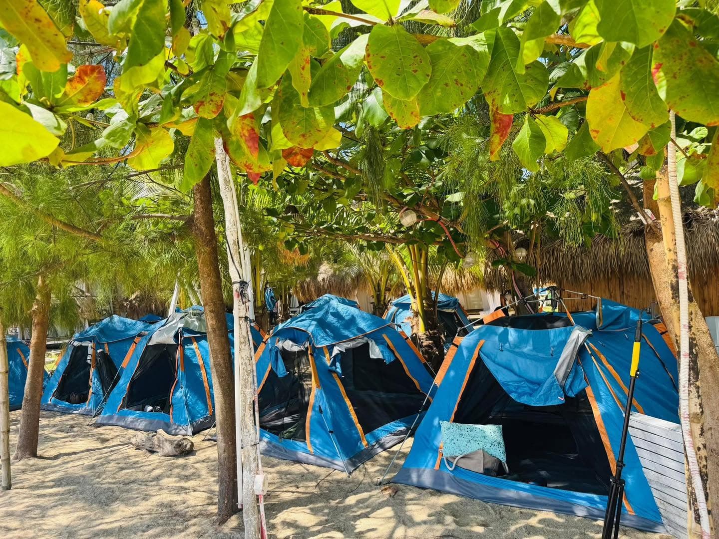 Guest tents pitched on the grounds at Paraiso